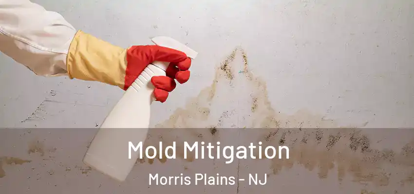 Mold Mitigation Morris Plains - NJ