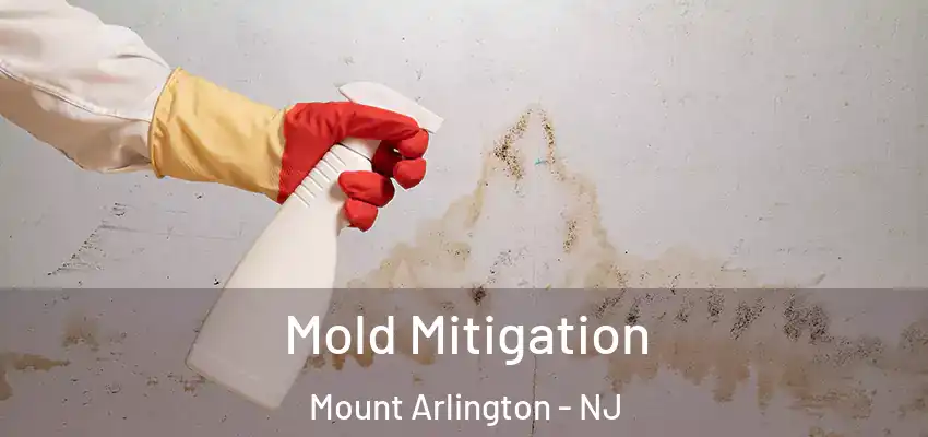 Mold Mitigation Mount Arlington - NJ