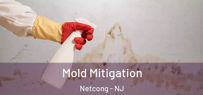 Mold Mitigation Netcong - NJ