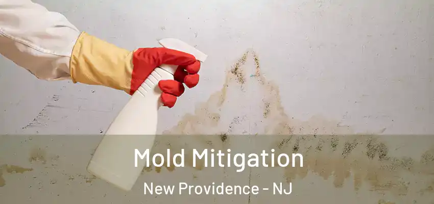 Mold Mitigation New Providence - NJ