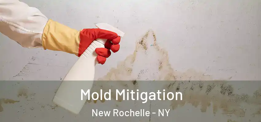  Mold Mitigation New Rochelle - NY