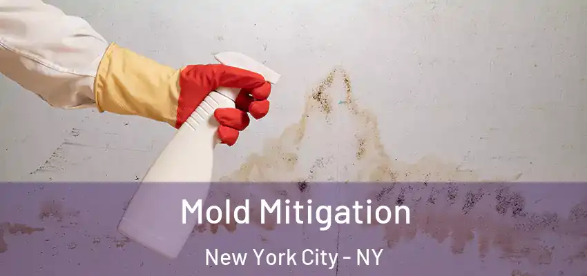 Mold Mitigation New York City - NY
