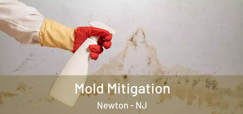 Mold Mitigation Newton - NJ