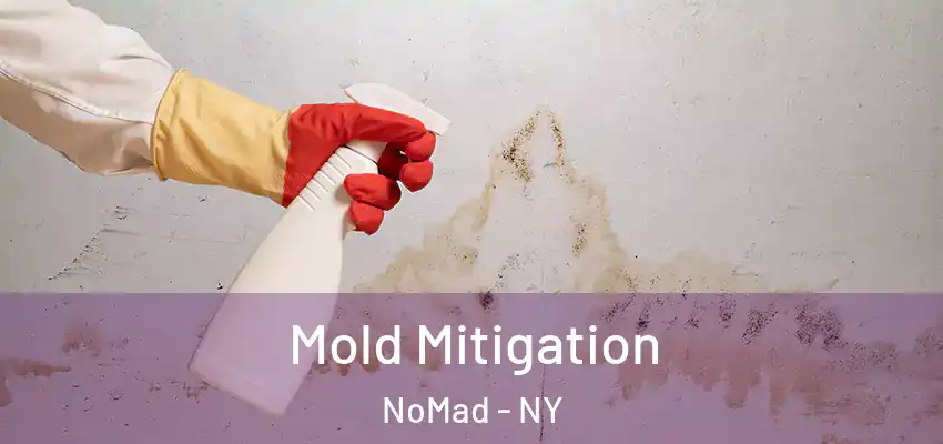 Mold Mitigation NoMad - NY