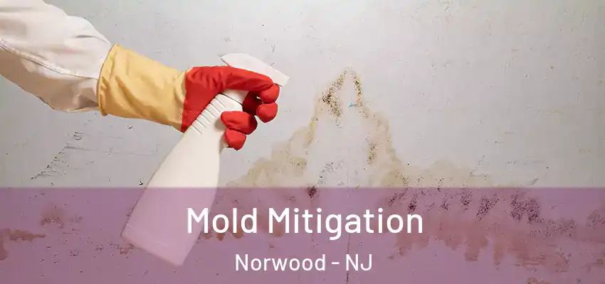 Mold Mitigation Norwood - NJ