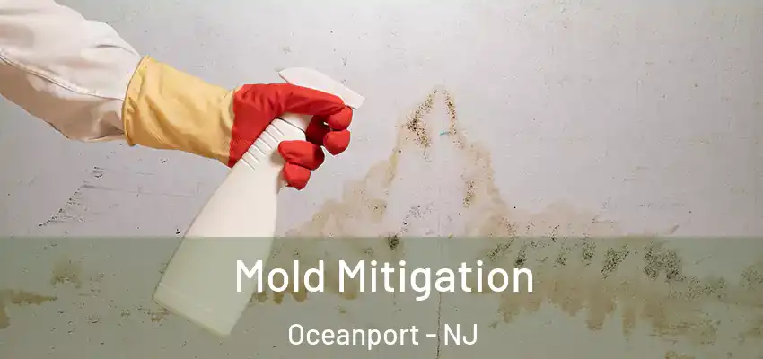 Mold Mitigation Oceanport - NJ