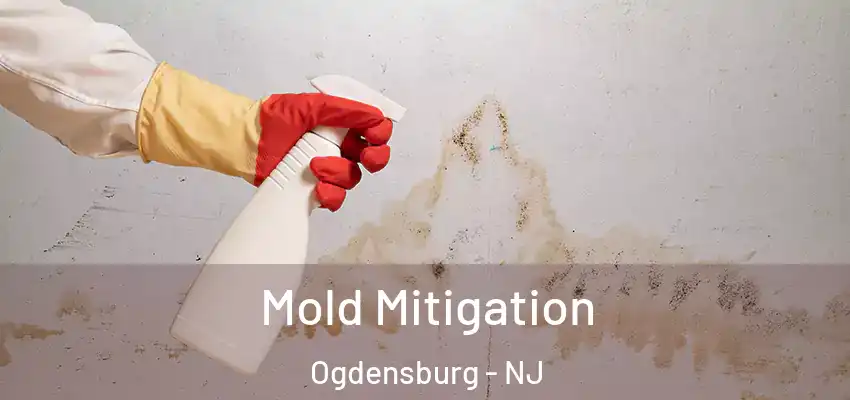  Mold Mitigation Ogdensburg - NJ