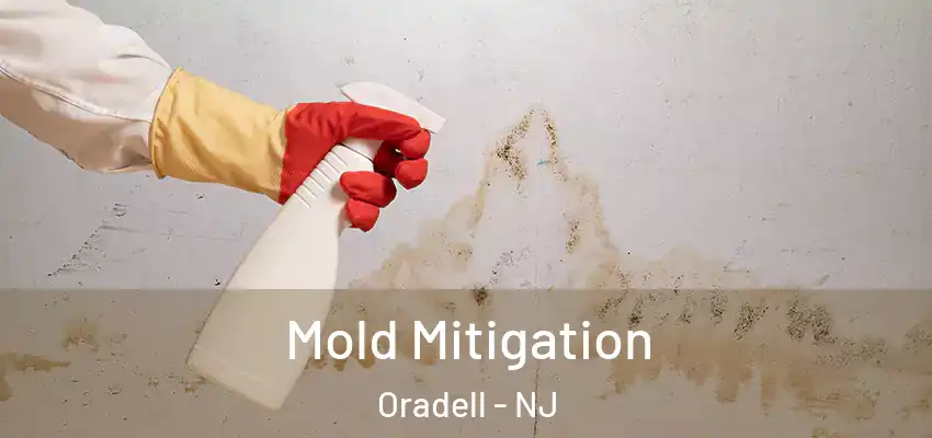 Mold Mitigation Oradell - NJ
