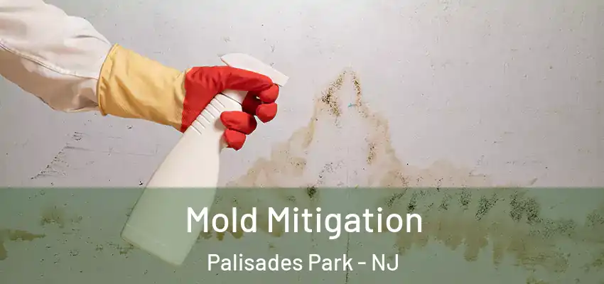 Mold Mitigation Palisades Park - NJ