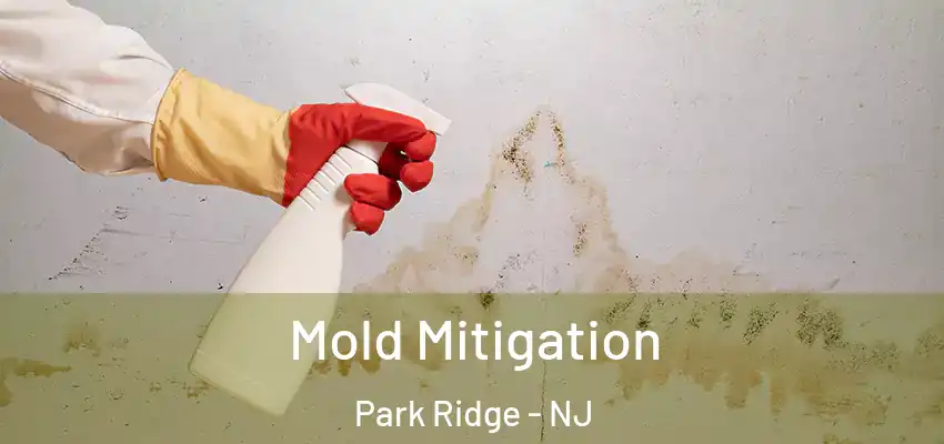Mold Mitigation Park Ridge - NJ