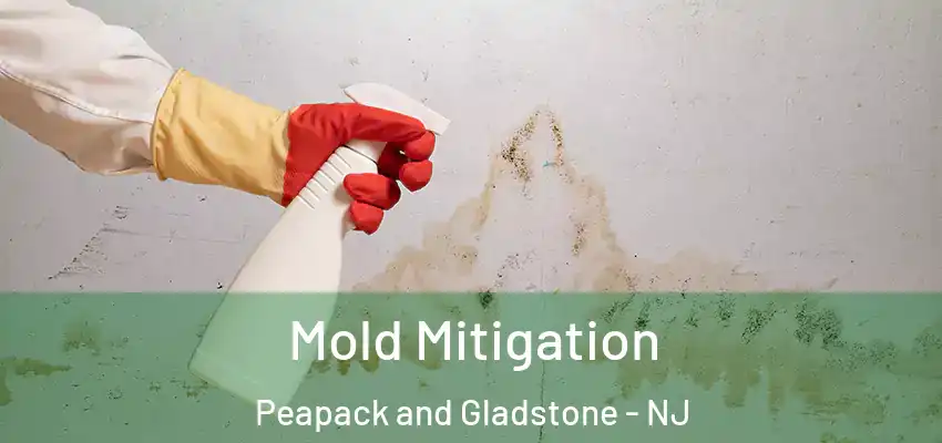 Mold Mitigation Peapack and Gladstone - NJ
