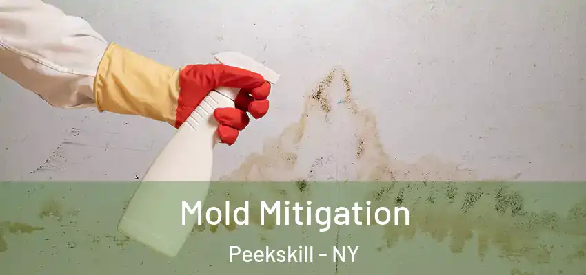 Mold Mitigation Peekskill - NY