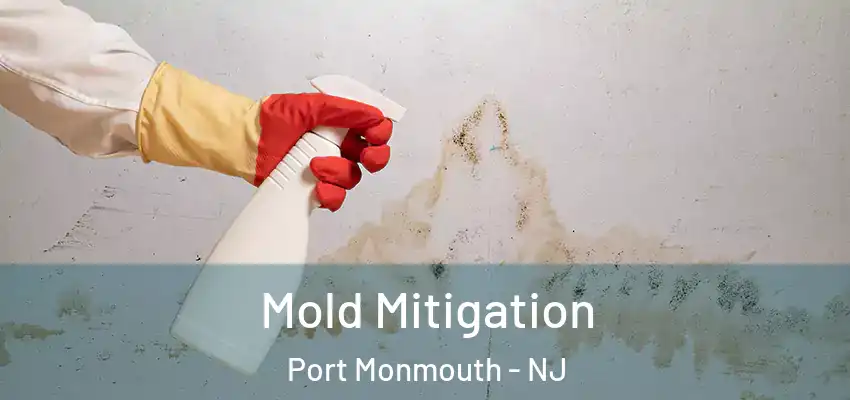Mold Mitigation Port Monmouth - NJ