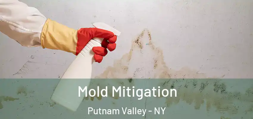Mold Mitigation Putnam Valley - NY