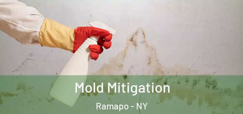 Mold Mitigation Ramapo - NY