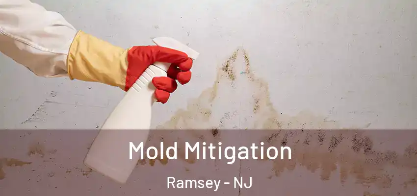 Mold Mitigation Ramsey - NJ