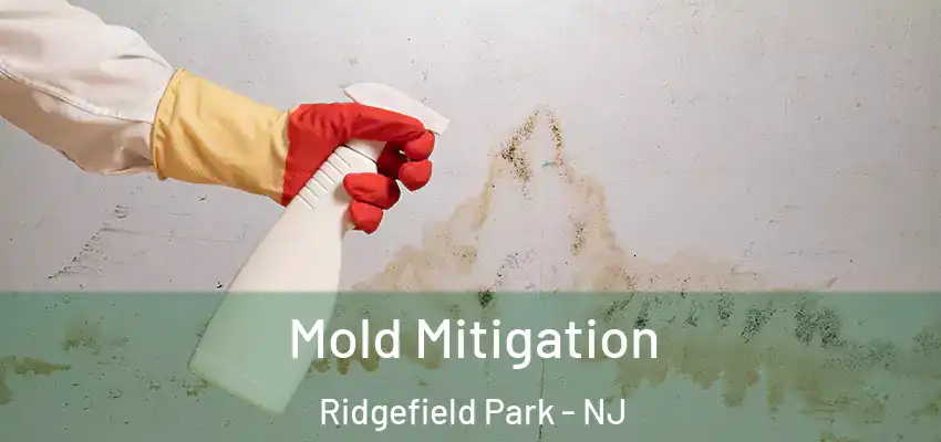  Mold Mitigation Ridgefield Park - NJ