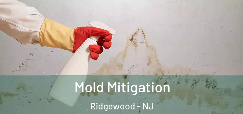 Mold Mitigation Ridgewood - NJ