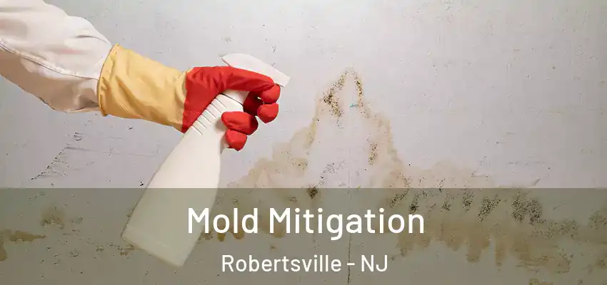  Mold Mitigation Robertsville - NJ