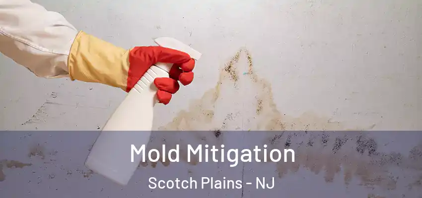 Mold Mitigation Scotch Plains - NJ
