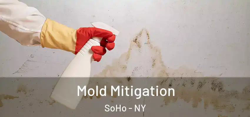 Mold Mitigation SoHo - NY