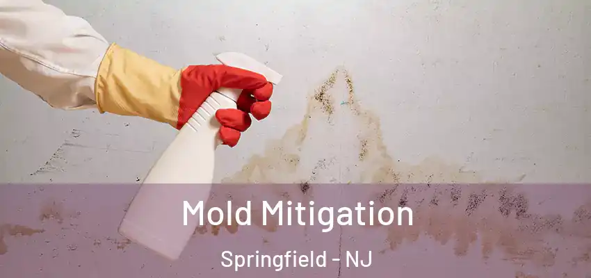 Mold Mitigation Springfield - NJ