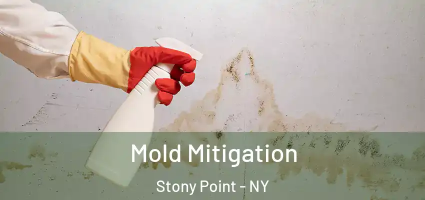 Mold Mitigation Stony Point - NY
