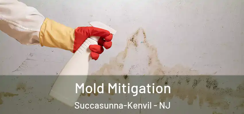Mold Mitigation Succasunna-Kenvil - NJ