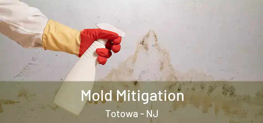 Mold Mitigation Totowa - NJ