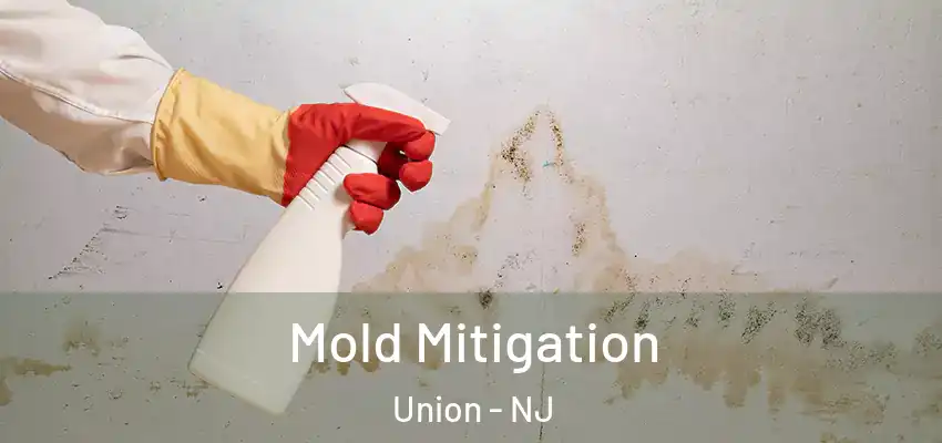 Mold Mitigation Union - NJ