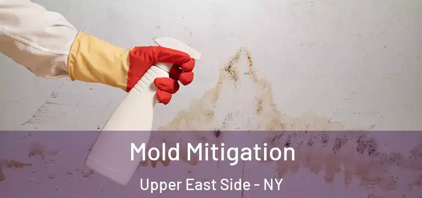 Mold Mitigation Upper East Side - NY
