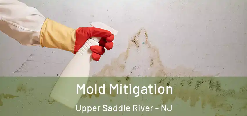 Mold Mitigation Upper Saddle River - NJ