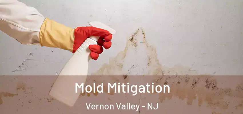 Mold Mitigation Vernon Valley - NJ