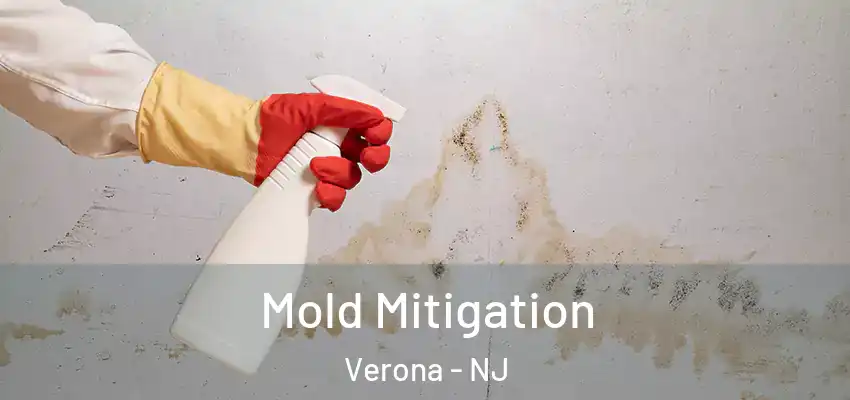 Mold Mitigation Verona - NJ