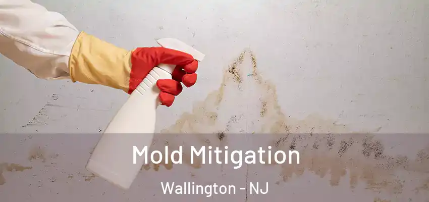 Mold Mitigation Wallington - NJ