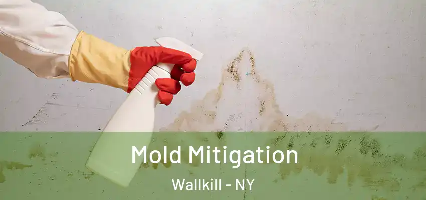 Mold Mitigation Wallkill - NY