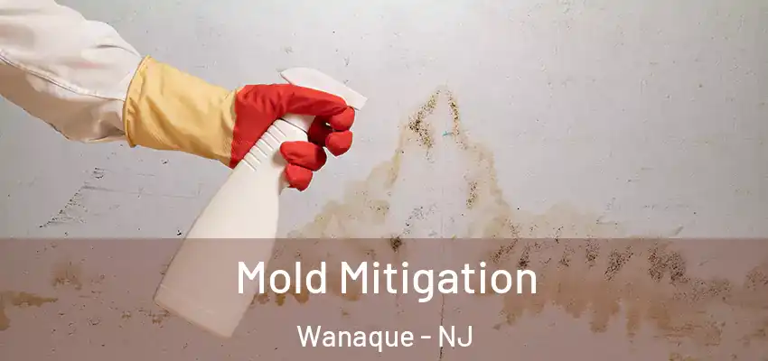Mold Mitigation Wanaque - NJ