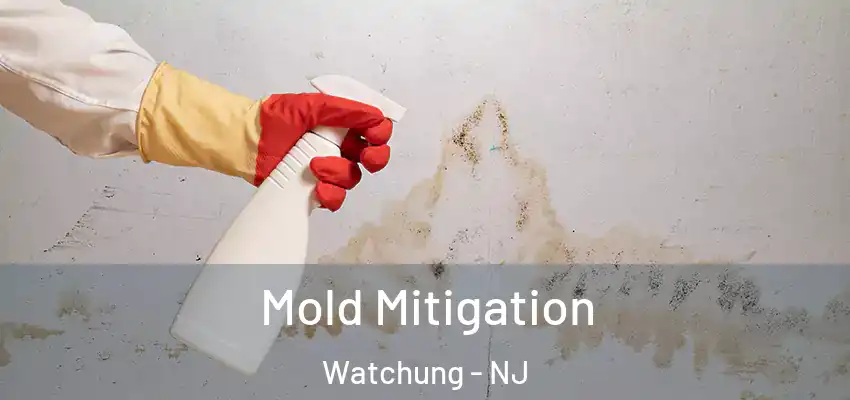 Mold Mitigation Watchung - NJ