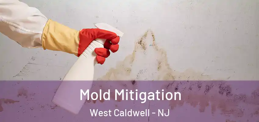  Mold Mitigation West Caldwell - NJ