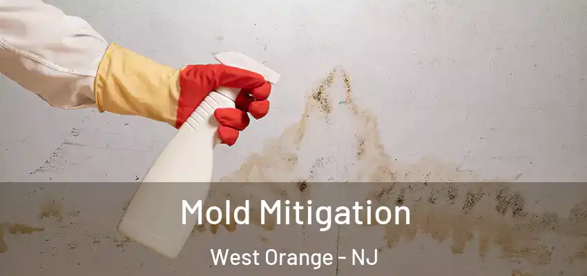 Mold Mitigation West Orange - NJ