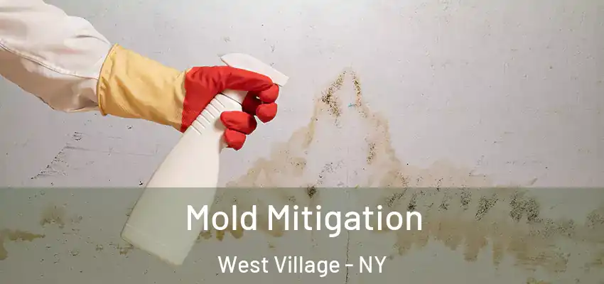  Mold Mitigation West Village - NY