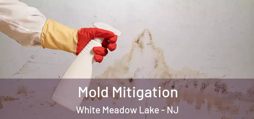  Mold Mitigation White Meadow Lake - NJ