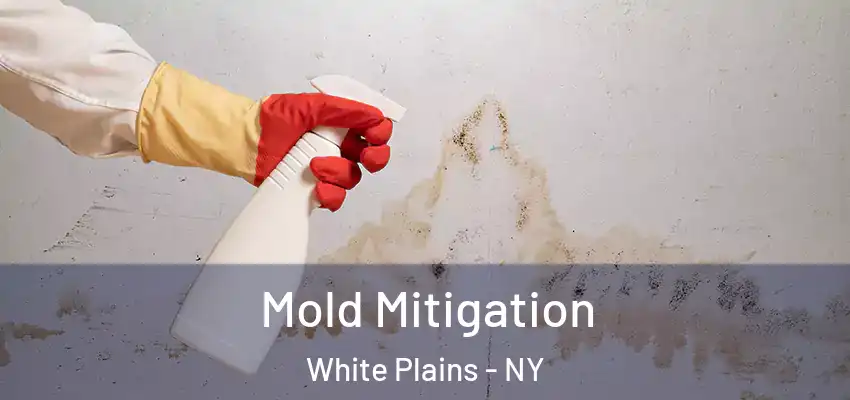 Mold Mitigation White Plains - NY