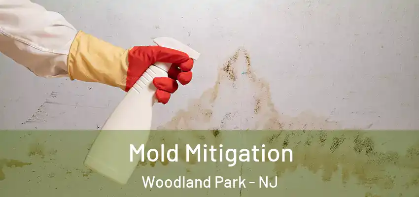  Mold Mitigation Woodland Park - NJ
