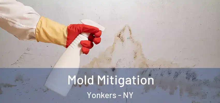 Mold Mitigation Yonkers - NY
