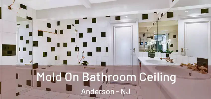 Mold On Bathroom Ceiling Anderson - NJ