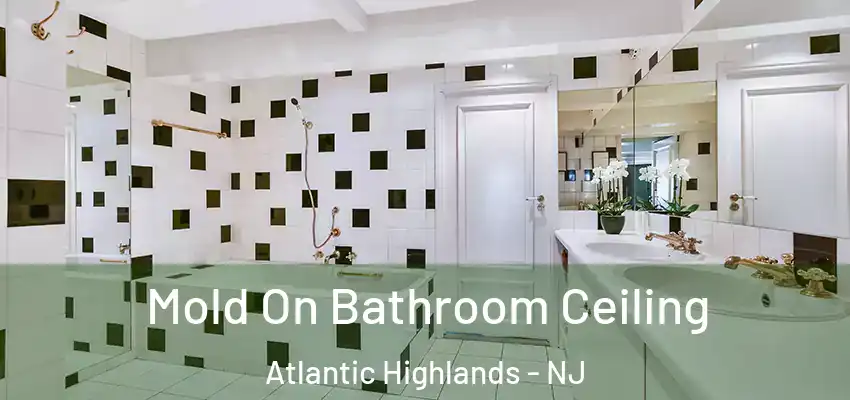 Mold On Bathroom Ceiling Atlantic Highlands - NJ