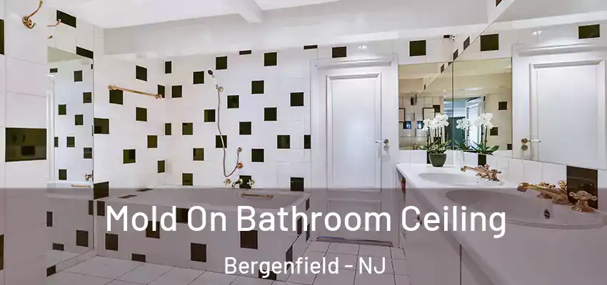 Mold On Bathroom Ceiling Bergenfield - NJ