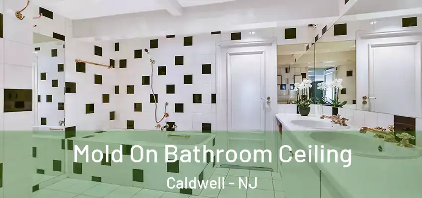 Mold On Bathroom Ceiling Caldwell - NJ