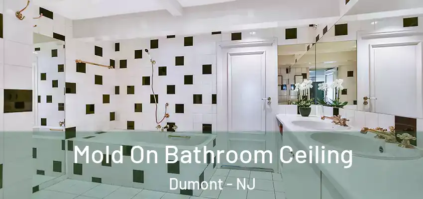 Mold On Bathroom Ceiling Dumont - NJ